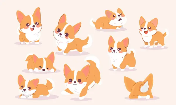 Σειρά Αξιολάτρευτων Corgi Dog Vector Χαρακτήρων Διάφορες Αναρτήσεις Royalty Free Εικονογραφήσεις Αρχείου