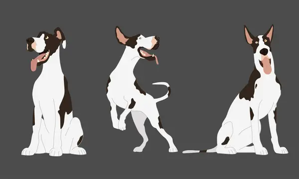 Sada Skvělých Dane Dog Vector Illustration Stock Vektory