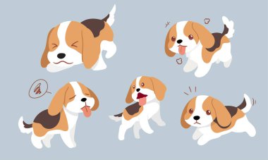 Beagle Action Serisi, Çeşitli Pozisyonlar Koleksiyonu