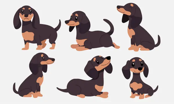 Dachshund Action Series Diverse Poses Collection Royalty Free Stock Ilustrace