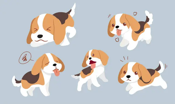 Beagle Action Series Diverse Poses Collection Stock Vektory