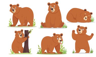 Farklı Eylemlerde Çekici Boz Ayı