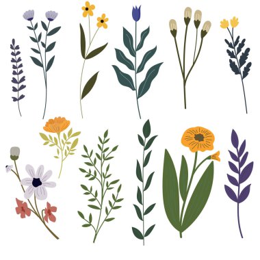 Şirin Çiçek ve Bitki Vektörü Tasarımı