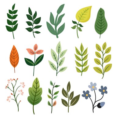 Şirin Çiçek ve Bitkilerin Güzel Vektör Resimleri
