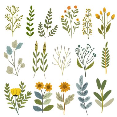 Çiçek ve Botanik Vektör Koleksiyonu