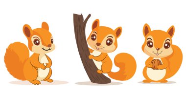 Çeşitli Pozisyonlarda Şirin Sincaplar