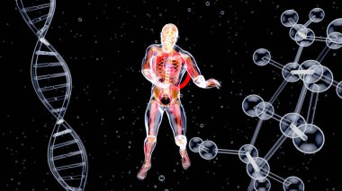 Kalp krizi ve anatominin soyut üç boyutlu çizimi 