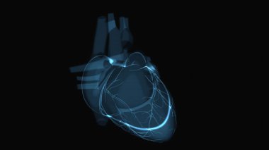 Röntgende, anatomide bir kalbin soyut çizimi 