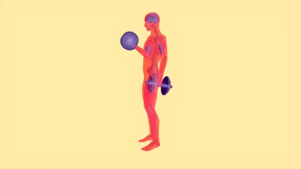 Anatomie Abstraite Homme Faisant Des Boucles Biceps — Photo