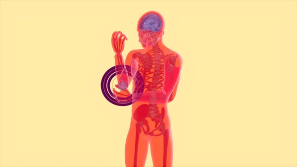 Abstraktes Anatomisches Konzept Eines Ellbogenschmerzes — Stockfoto