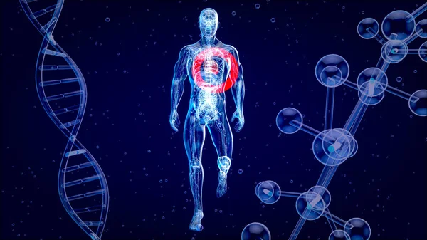 Kalp krizi ve anatominin soyut üç boyutlu çizimi 