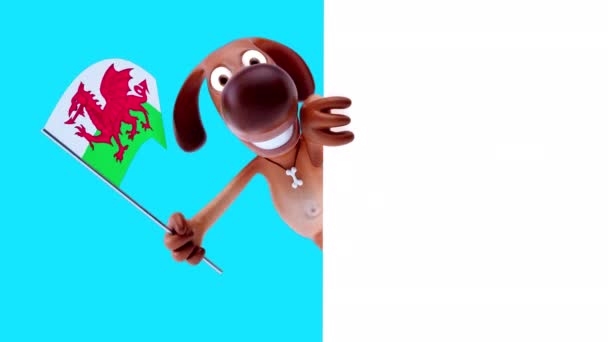 Funny Cartoon Character Dog Flag Wales Animation — Stock Video