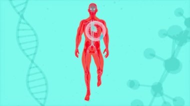 Bir kalp krizinin üç boyutlu çizimi