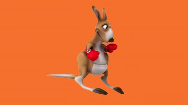 Fun Kangaroo Boxer Animation — Stock Video
