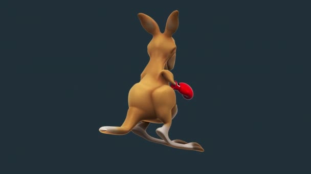 Funny Kangaroo Cartoon Boxing — Wideo stockowe
