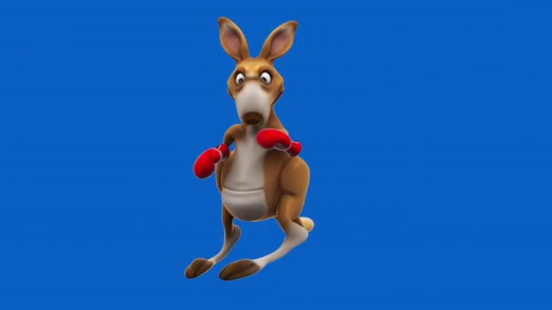 Eğlenceli Kanguru Boksörü Animasyon — Stok video