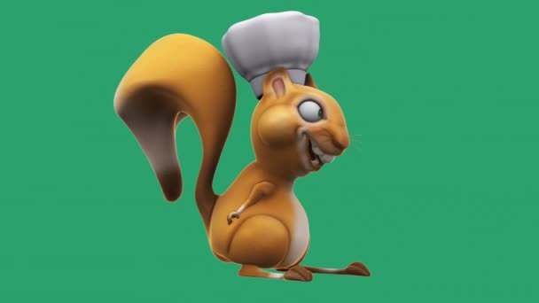 Fun Squirrel Cartoon Character Chef — Video