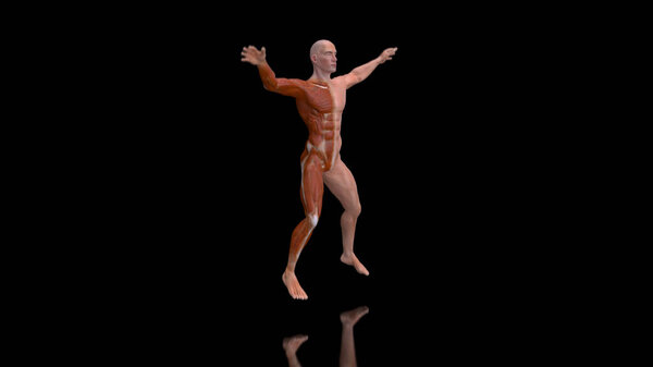 Abstract 3D anatomy of a man jumping 