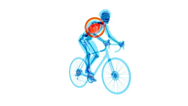 Anatomie Eines Röntgenradfahrers Beim Reiten — Stockfoto
