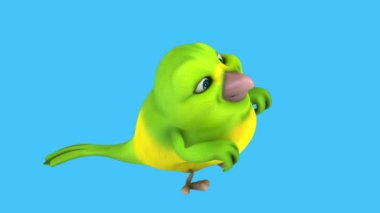 Güzel kuş çizgi film karakteri 