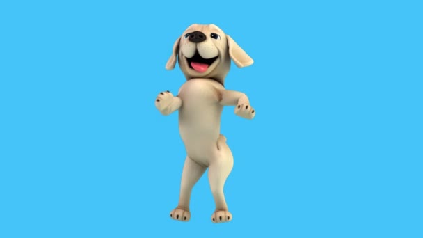 Zabawa Postać Kreskówki Labrador Pies Taniec Rumba Animacja — Wideo stockowe