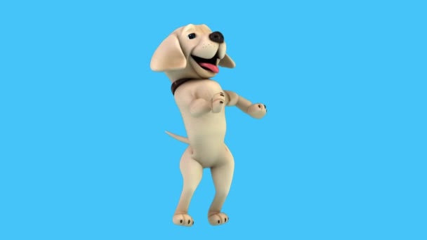 Fun Cartoon Character Labrador Dog Dancing Rumba Animation — Stock Video