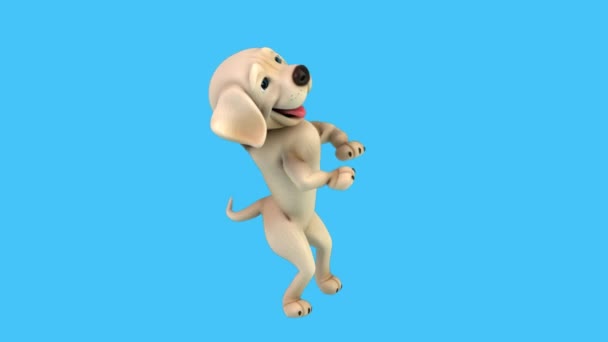 Fun Cartoon Character Labrador Dog Dancing Animace — Stock video