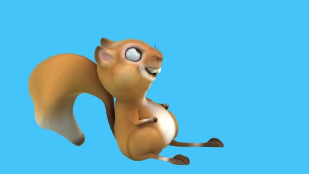 Fun Squirrel Cartoon Character Dancing — Stock Video