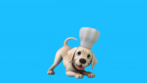 Karakter Kartun Menyenangkan Labrador Chef — Stok Video