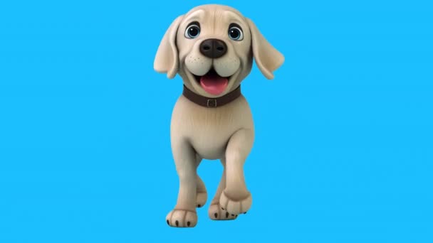 Fun Animation Cartoon Character Labrador — Stock Video