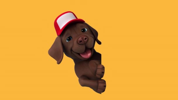 Divertido Personaje Dibujos Animados Labrador Gorra — Vídeos de Stock