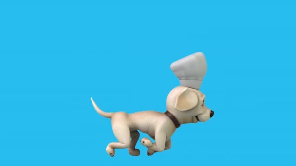 Diversión Animación Personaje Dibujos Animados Labrador Chef Corriendo — Vídeos de Stock