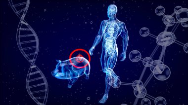 Bir domuz kalbi naklinin üç boyutlu soyut çizimi