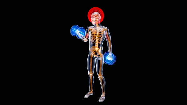 Ilustração Uma Anatomia Homem Raio Fazendo Cachos Bíceps — Fotografia de Stock