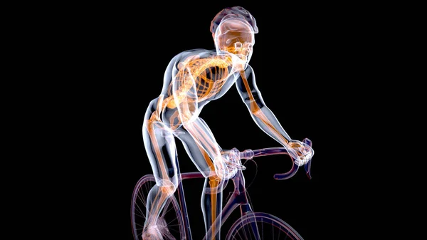 Ilustración Una Anatomía Ciclista Rayos Que Monta Con Arte Abstracto —  Fotos de Stock