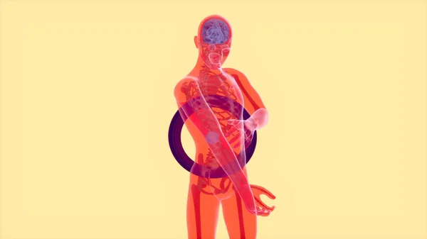Illustration Abstraktes Anatomisches Konzept Eines Ellbogenschmerzes — Stockfoto