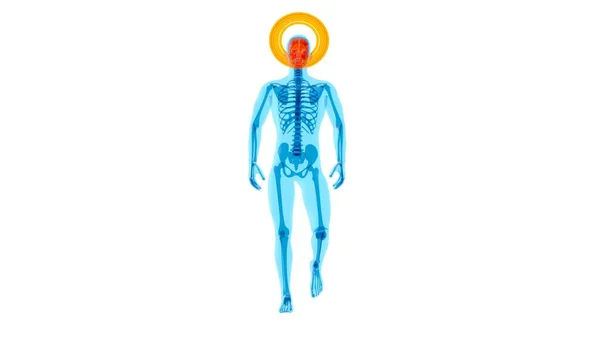 Conceito Anatomia Homem Raio Andando — Fotografia de Stock
