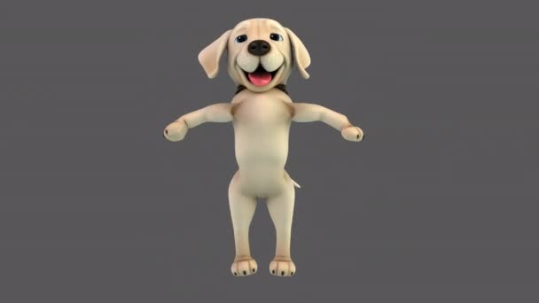 Fun Animation Cartoon Character Labrador Jumping — Stock Video