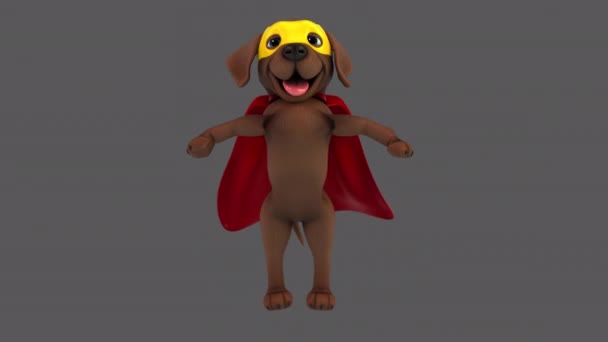 Zabawa Postać Kreskówek Labrador Superhero Jumping — Wideo stockowe
