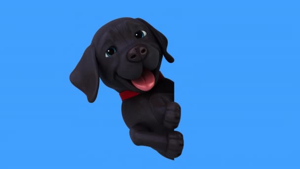 Fun Animation Cartoon Character Labrador — Stock Video