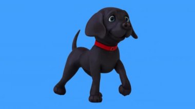 Eğlenceli üç boyutlu çizgi film karakteri Labrador yürüyüşü 