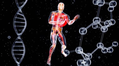 Bir kalp krizinin üç boyutlu çizimi