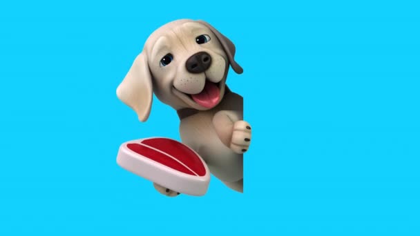 Zabawa Animacja Postać Kreskówek Labrador Mięsem — Wideo stockowe
