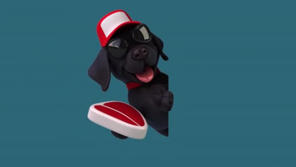 Fun Animace Kreslený Postava Labrador Čepici Sluneční Brýle Masem — Stock video