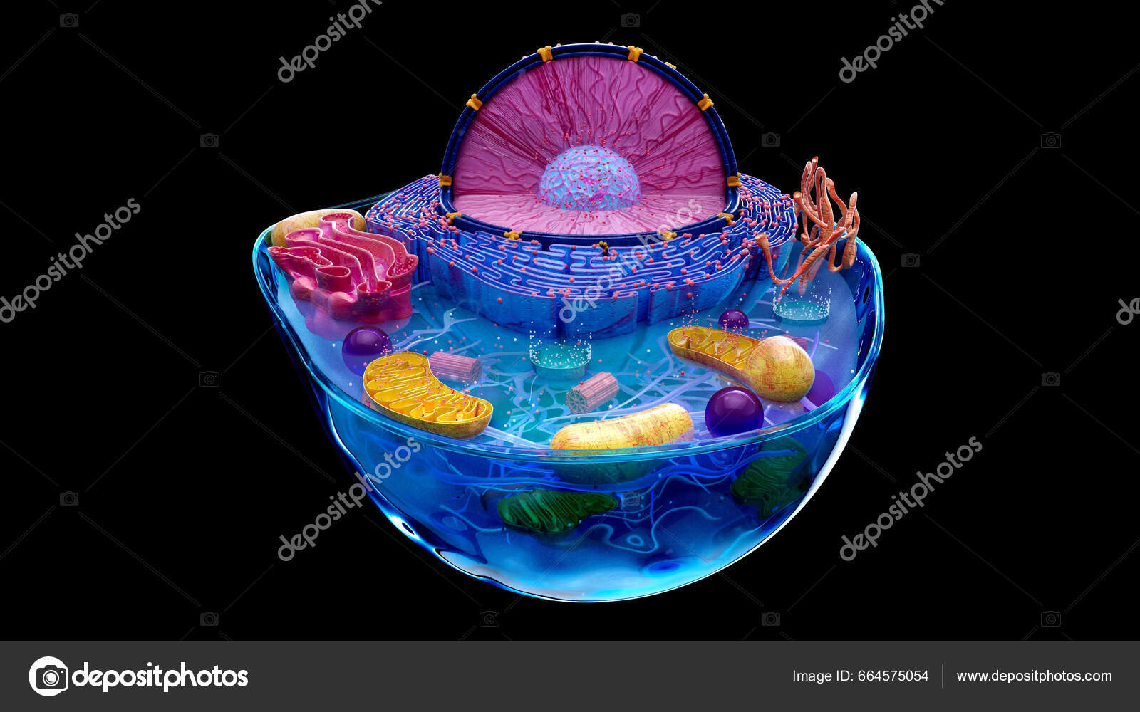 el moderno prometeo: Metabolismo: cadena respiratoria., image size:1600x1000