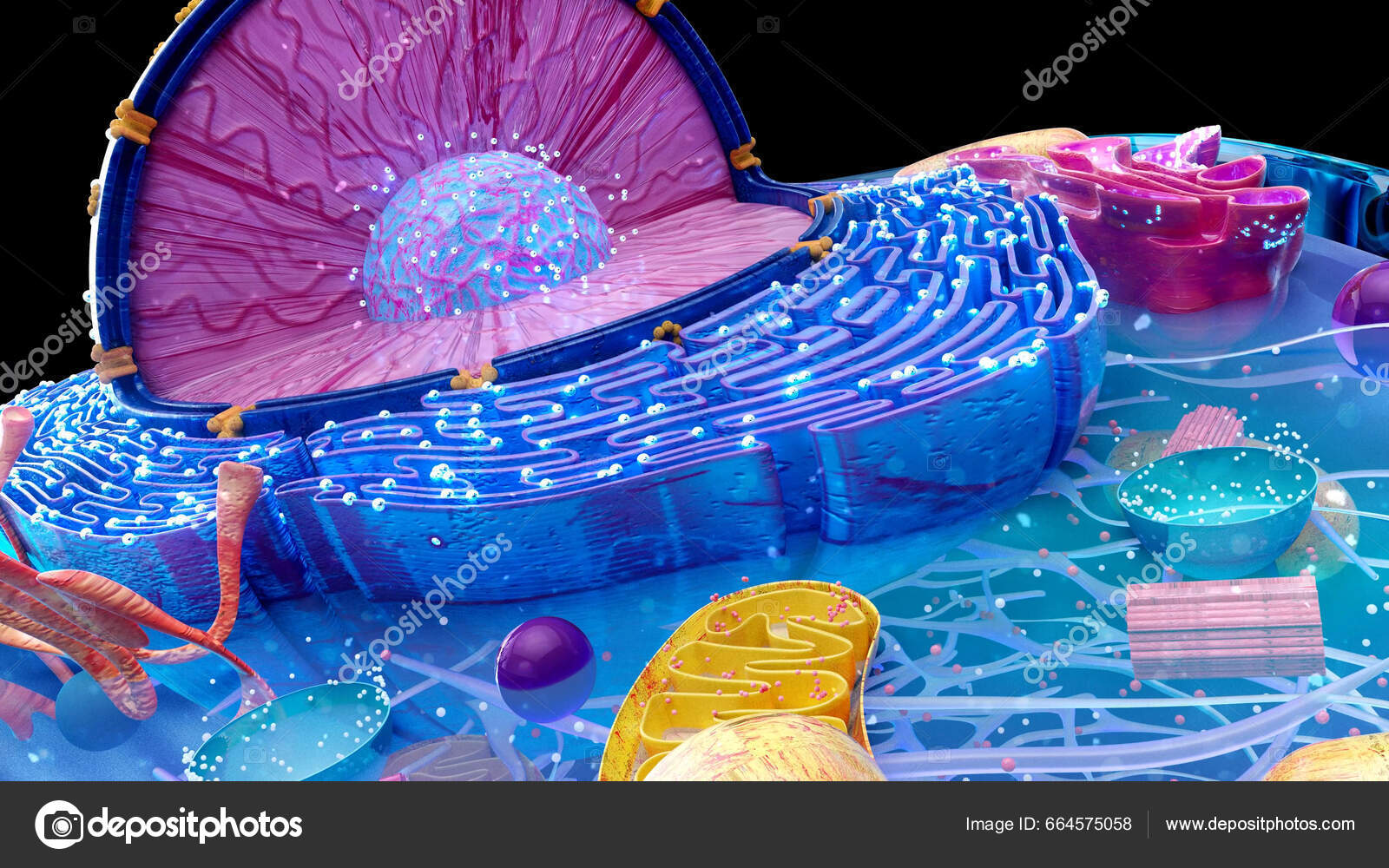 Abstract Illustration Cell Reticulum — Stock Photo © julos 664575058