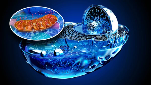 Abstract Illustratie Van Biologische Cel Mitochondriën — Stockfoto