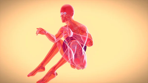 サイトアップをする男の3D解剖 — ストック写真