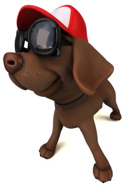 Güneş gözlüklü beyaz Labrador av köpeği.