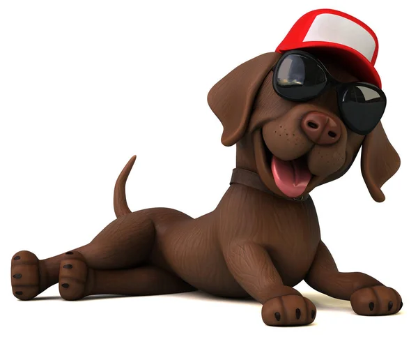 Fun Cartoon White Labrador Retriever Sunglasses — Stock Photo, Image